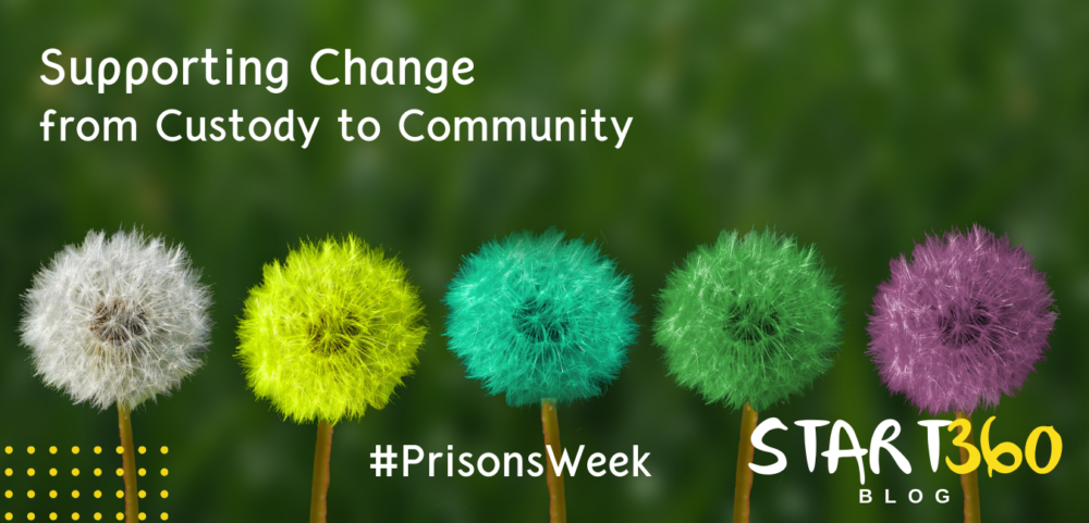 Image of five dandelions with seeds attached in bright colours with the words Supporting Change in custody in community in white on top of the image